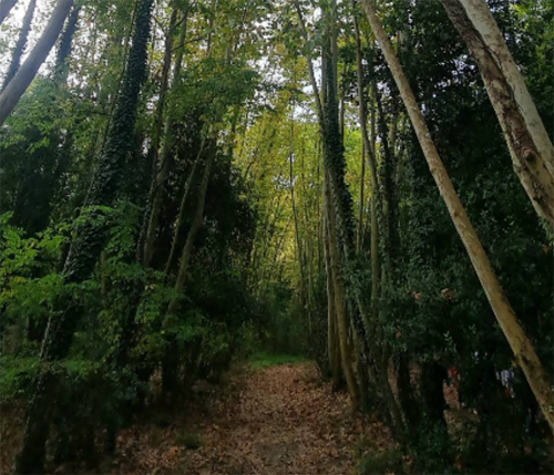 Parc del Montnegre